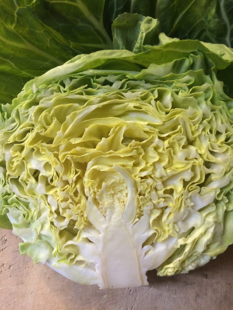 自然栽培のお野菜